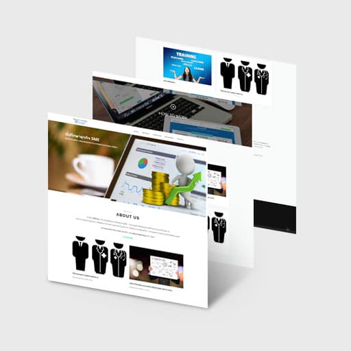 SME Biz Consultant